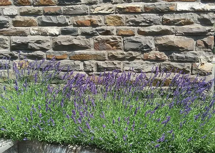 Maximin Apartamento *